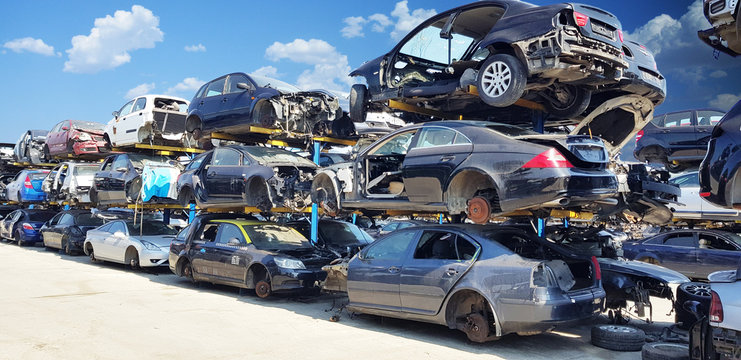 Række af skrotbiler parkeret på grusplads.